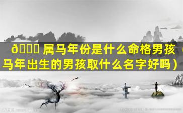 🐝 属马年份是什么命格男孩（马年出生的男孩取什么名字好吗）